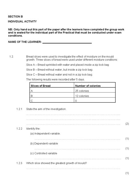Practical Investigation On Bread Mould 11