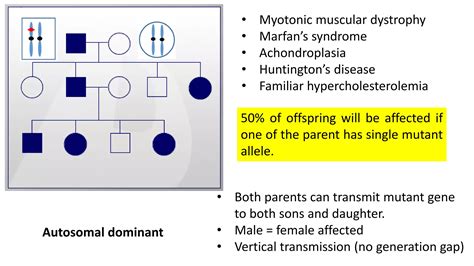 Modes Of Autosomal And Sex Linked Inheritance Ppt