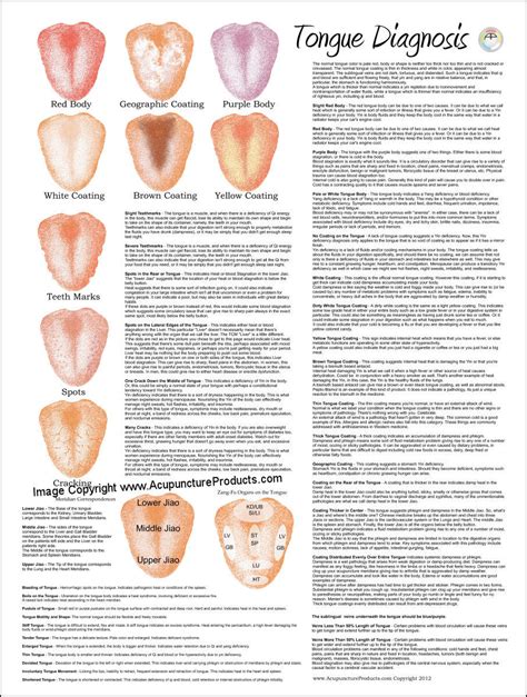 Tongue Diagnosis Acupuncture Poster 18 X 24 and similar items