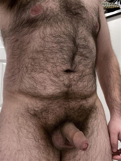 Semi Hard Hairy Bear Cock Ready To Have Fun Nudes Gaybears Nude Pics Org