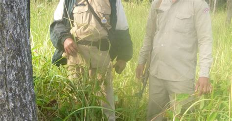 Conservationists Decry Slaying Of Cambodian Forest Guards Pointing To