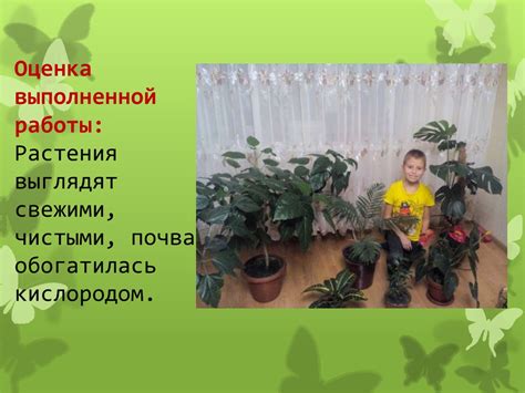 Практическая работа: «Учимся ухаживать за комнатными растениями ...