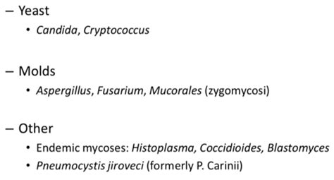 Systemic Antifungal Therapy Flashcards Quizlet