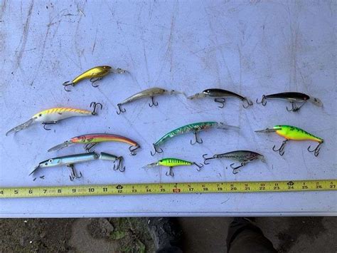 Assorted Crank Baits Legacy Auction Company