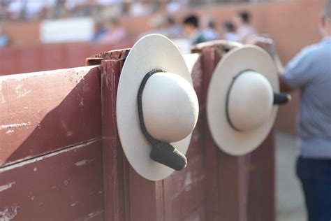 Entretenida Y Muy Diversa Novillada En Tordesillas Con Navas Y