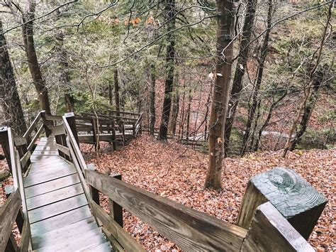 Turkey Run State Park: The Best Hiking in Indiana — Adrift Aesthetic