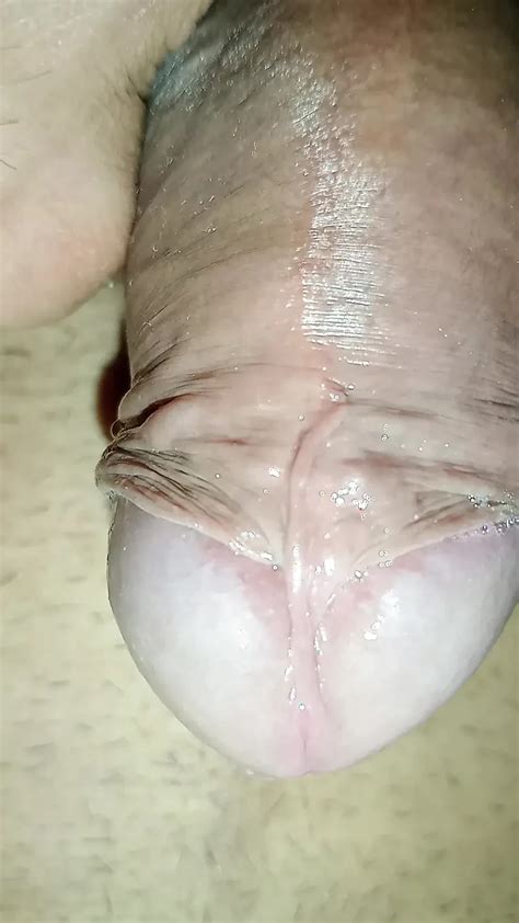 Free Asian Gay Bdsm Porn Videos Xhamster