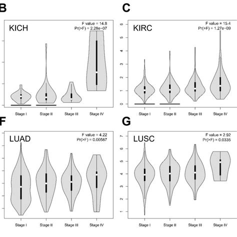 NUF2 Expression Is Associated With Tumor Stages In Eight Cancer Types