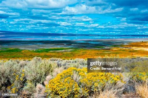 25 Alkali Lake Oregon Stock Photos High Res Pictures And Images