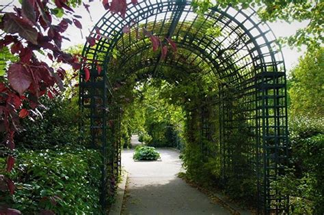 Пергола (70 фото): красивые идеи для дома и дачи