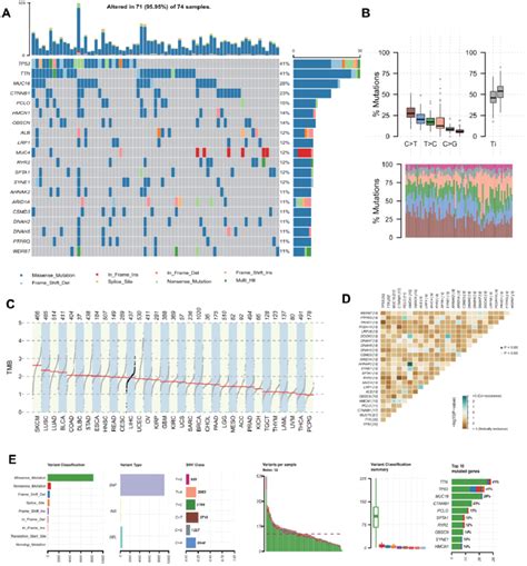 Landscape Of Mutation Profiles In Involved Hepatocellular Carcinoma