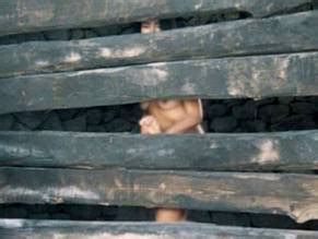 IRENE PAPAS Nude AZNude