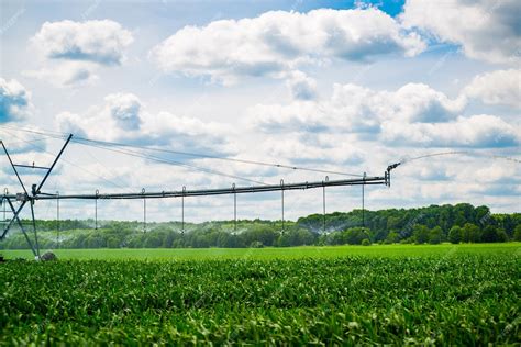 Potencial do Hidrogênio Verde no Agronegócio SciCrop