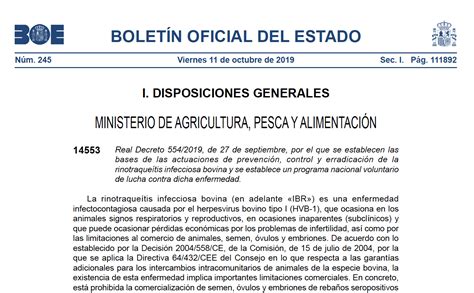 El BOE publica el Real Decreto que establece las bases de prevención