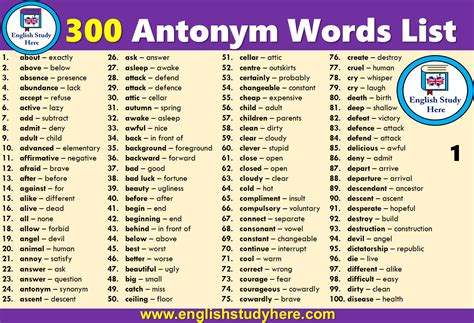 important oppositeantonym words list english grammar