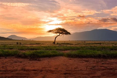 The Tazara Railway From Tanzania To Zambia By Train — Skratch