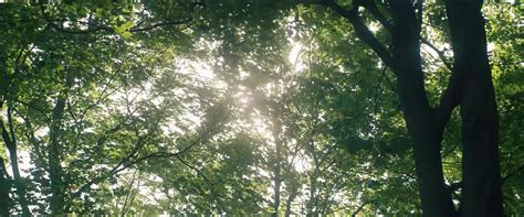 Giantess 巨大娘 女巨人Gen V The Boys Giant Emma 4K Remaster Season 1 Episode 5 Giantess Porn