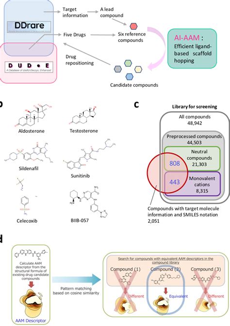 Schematic representation of this study. | Download Scientific Diagram