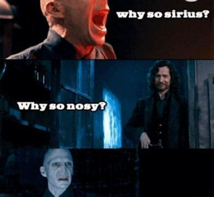 Lesbian Harry Potter Life Long Answers Quiz Quotev