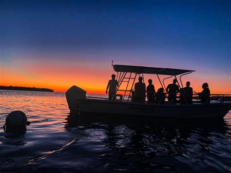 La Parguera: Sunset and Late Night Biobay Cruise | GetYourGuide