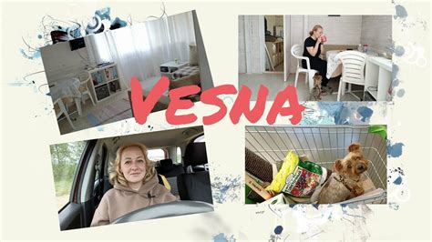 ВЛОГ/Хроники загородной жизни/ Дом из бытовок/ Моя дача/ - YouTube