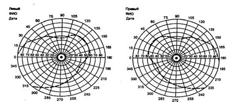 Поле зрения.
