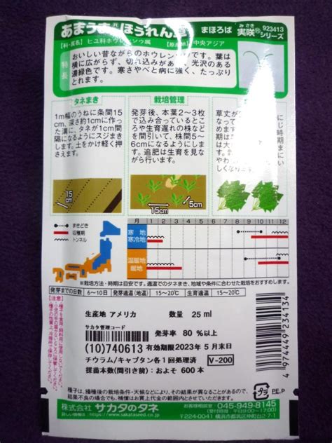 種子 あまうまほうれん草 まほろば V サカタのタネ 2305 秋 年越し採り 味のよいホウレンソウ ゆうパケット便可能野菜｜売買された