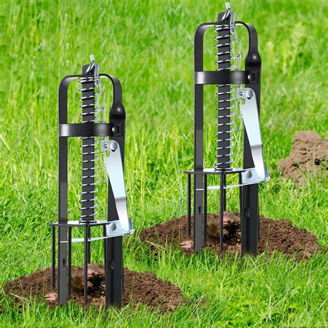 Humane Mole Traps