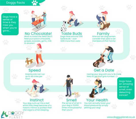 Interesting Dog Facts Infographic Doggy Planet