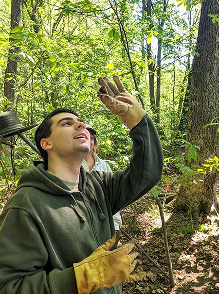 mht public archaeology programs