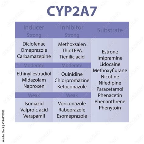 Grafika Wektorowa Stock Cytochrome Cyp A Table Of Strong Moderate