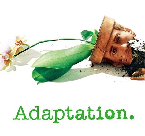 3. Adaptation. (2002) — (re)view from the top