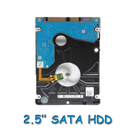 Aphmau Nude Lido Kitchen