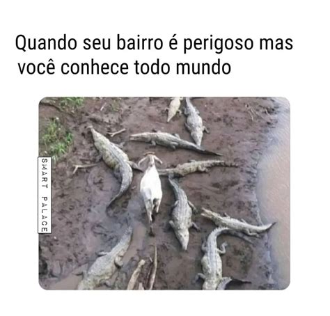 Quando seu bairro é perigoso mas você conhece todo mundo Memes