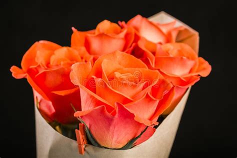 Grupo De Rosas Alaranjadas No Fundo Preto Foto De Stock Imagem De