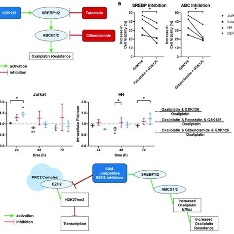 Srebp And Abc Inhibition Reduce Oxaliplatin Resistance And Efflux