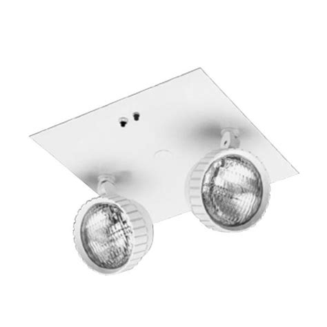 Ceiling Mounted Emergency Lights Shelly Lighting