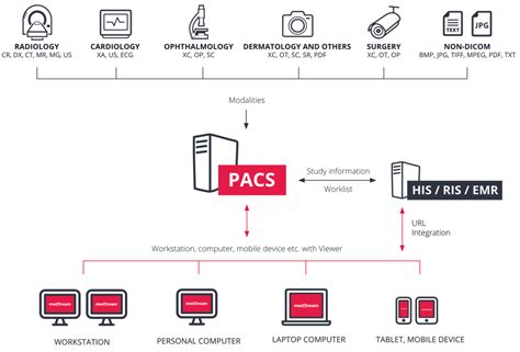 Notice D Information Sur Le Pacs