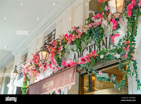 France Paris The Angelina Tea Room Famous For Its Hot Chocolate Stock Photo Alamy