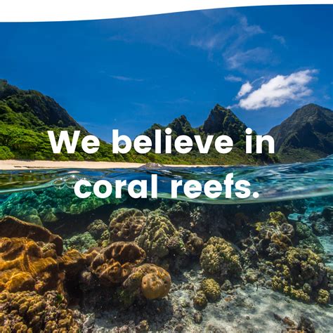 Coral Reef Alliance Saving The World’s Coral Reefs