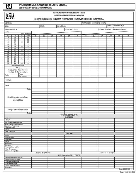 HOJA DE Registros Clinicos DE Enfermeria 2022 - Parte Posterior 1