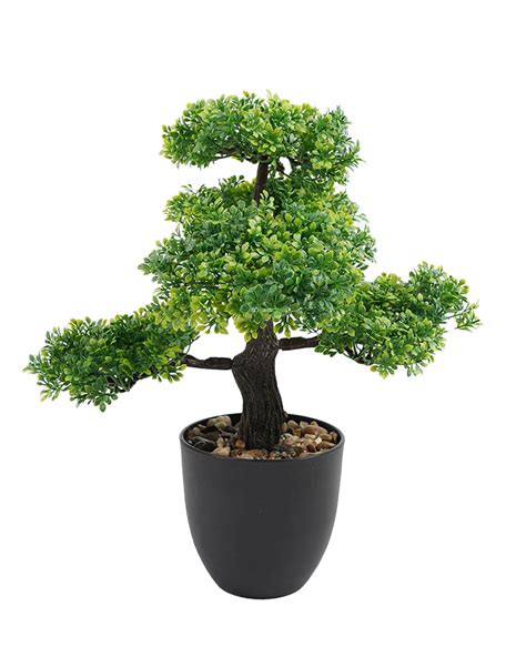 Bonsai Tree In Pot Shack Homewares