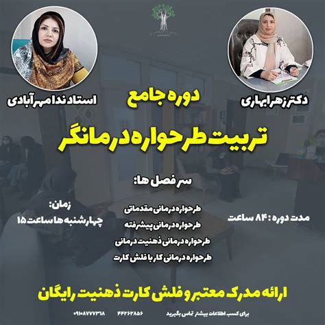 دوره جامع تربیت طرحواره درمانگر روان رویداد