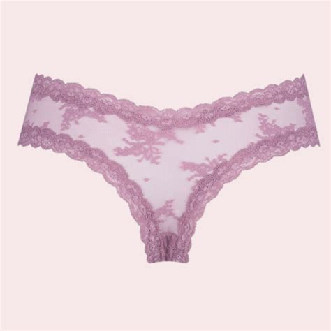 2 Pack Of Lace Bikini Panties For Women Save 30 Now