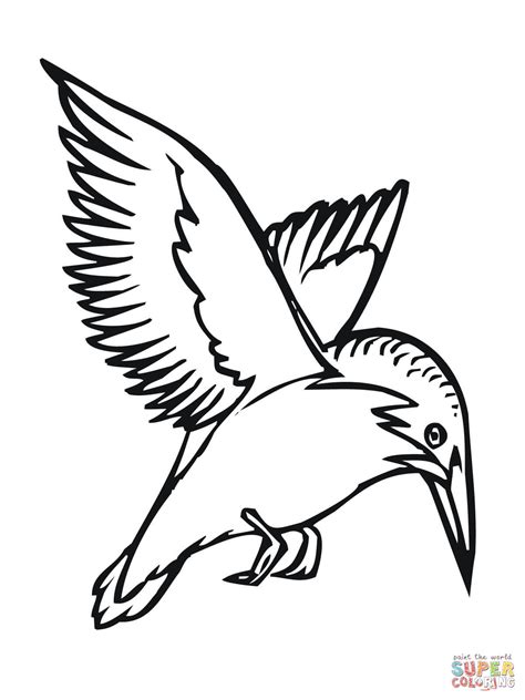 Flying Kingfisher Coloring Page Free Printable Coloring Pages