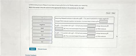 Solved Is RNA-binding enzyme RNase A more likely to have a | Chegg.com