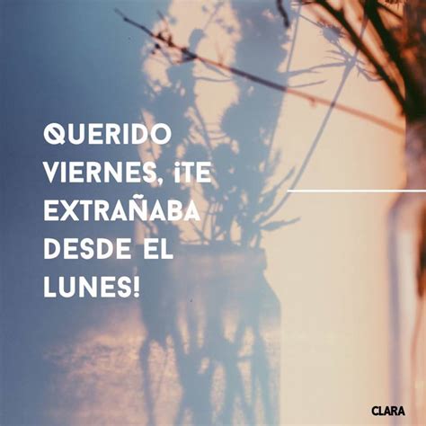 ¡feliz Viernes Frases E Imágenes Para Dar Los Buenos Días El Quinto