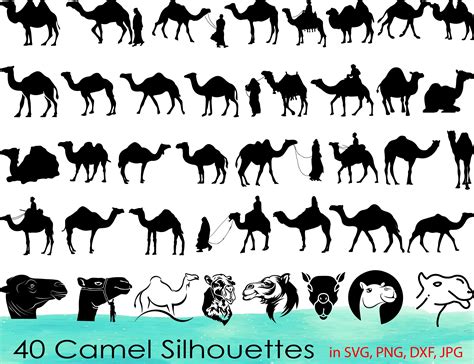 40 Camel Svg Bundlecamel Clipartcamel Head Svgcamel Dxfcamel Vector