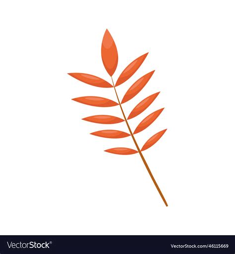 Autumn leaves Royalty Free Vector Image - VectorStock