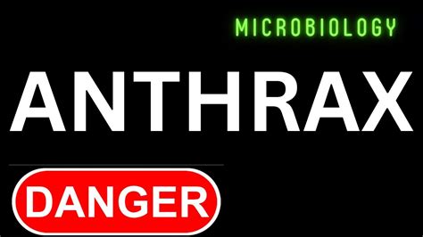 Most Questions Come From Bacillus Anthracis In Microbiology Youtube